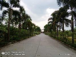  Residential Plot for Sale in Clement Town, Dehradun