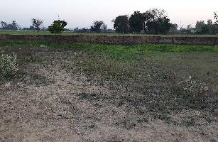  Residential Plot for Sale in Sirhind Road, Patiala