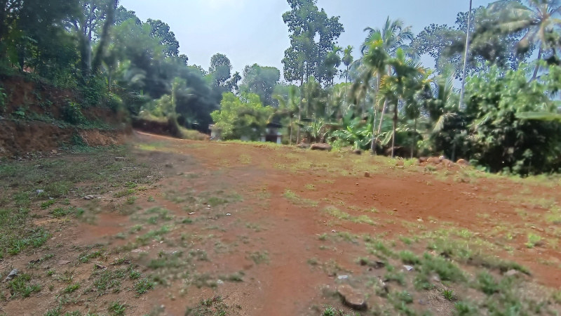  Residential Plot 22 Cent for Sale in Palai, Kottayam