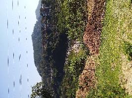 Residential Plot for Sale in Lohna, Palampur