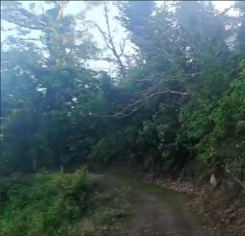  Residential Plot for Sale in Nahan, Sirmour