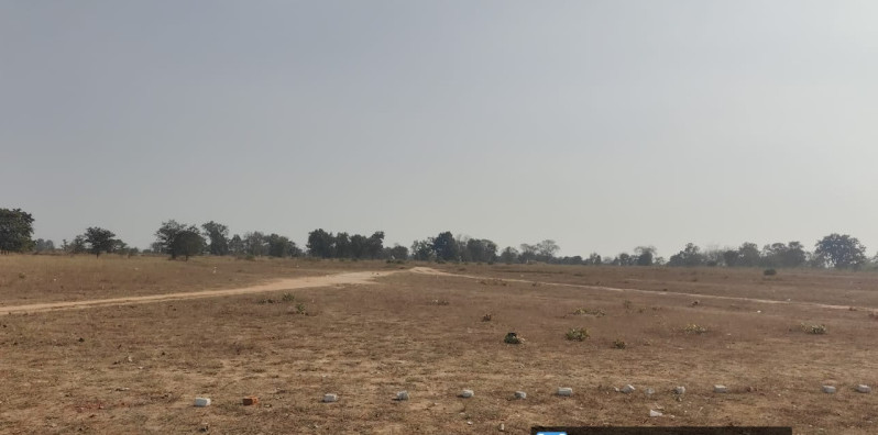  24 Acre Agricultural/Farm Land for Sale in Bagbahara, Mahasamund
