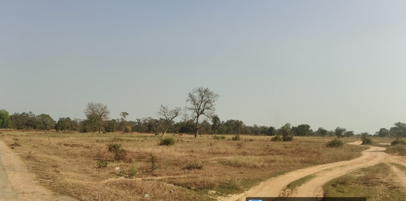 24 Acre Agricultural/Farm Land for Sale in Bagbahara, Mahasamund