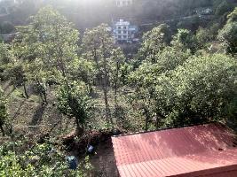  Commercial Land for Sale in Kumarhatti, Solan
