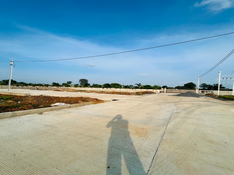  1200 Sq.ft. Residential Plot for Sale in Sakri, Bilaspur