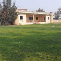  Agricultural Land for Sale in Modasa, Aravalli