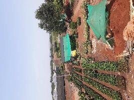  Agricultural Land for Rent in Kunjirwadi, Pune