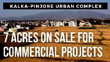  Agricultural Land for Sale in Pinjore, Panchkula