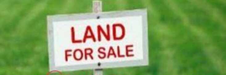  Residential Plot 1750 Sq.ft. for Sale in Aul, Kendrapara