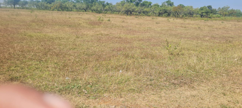  5 Acre Commercial Land for Sale in Jeypore, Koraput