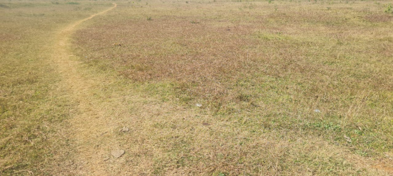  5 Acre Commercial Land for Sale in Jeypore, Koraput