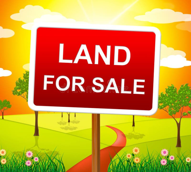  34444 Sq.ft. Commercial Land for Sale in Jeypore, Koraput