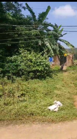  40 Cent Commercial Land for Sale in Jeypore, Koraput