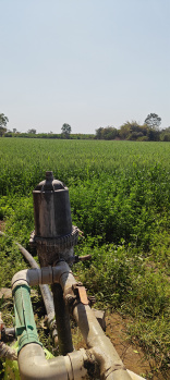  Agricultural Land for Sale in Achalpur, Amravati