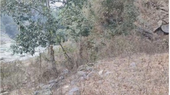  Agricultural Land for Sale in Upper Cart Road, Kalimpong
