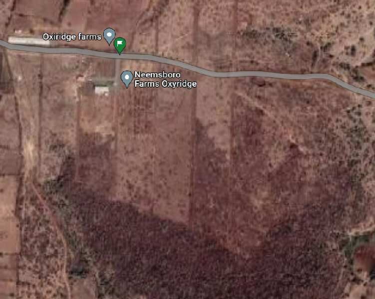  Agricultural Land 605 Sq. Yards for Sale in Narayankhed, Sangareddy