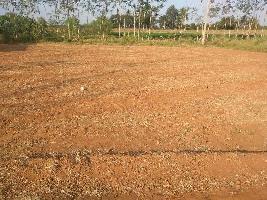  Agricultural Land for Sale in Pannaipuram, Theni