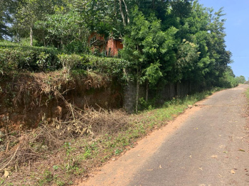  Residential Plot for Sale in Kotagiri, Nilgiris
