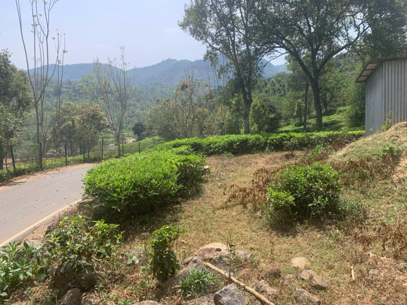 Residential Plot 10900 Sq.ft. for Sale in Coonoor, Nilgiris