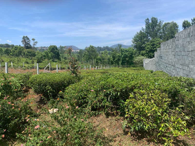 15 Cent Residential Plot for Sale in Coonoor, Nilgiris