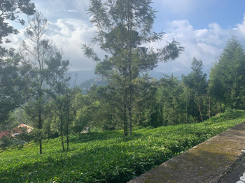  Residential Plot for Sale in Coonoor, Nilgiris