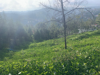  Residential Plot for Sale in Coonoor, Nilgiris