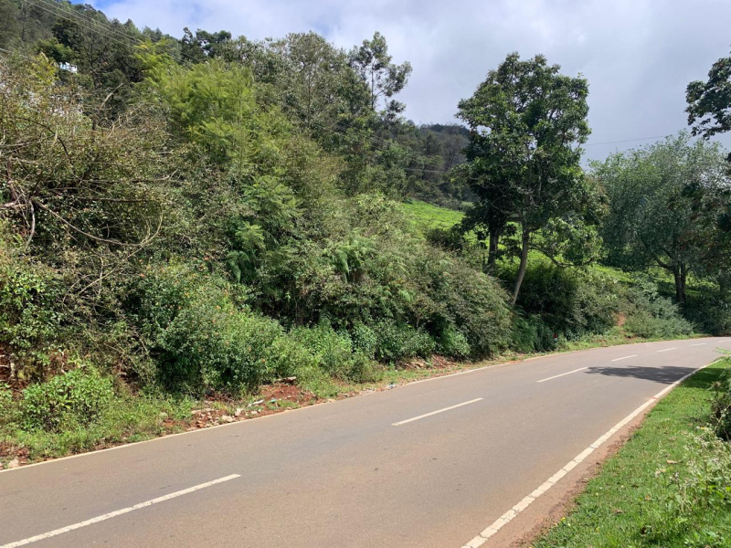  Residential Plot 6540 Sq.ft. for Sale in Kotagiri, Nilgiris