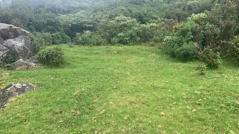  Residential Plot 8 Cent for Sale in Ketti, Ooty