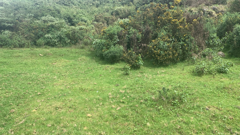  Residential Plot 8 Cent for Sale in Ketti, Ooty