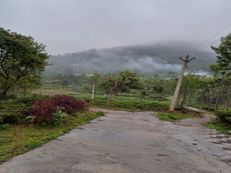  Residential Plot 24 Cent for Sale in Kotagiri, Nilgiris