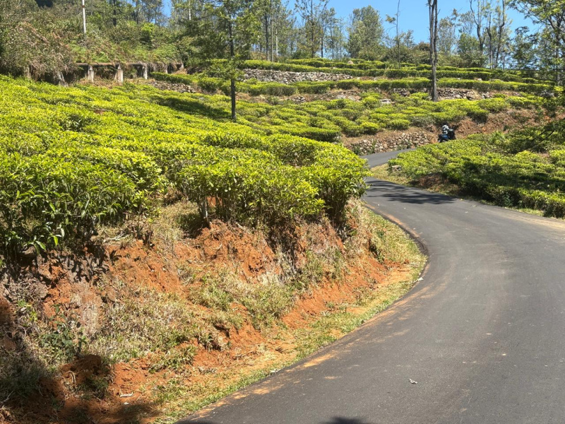  Residential Plot 5 Acre for Sale in Coonoor, Nilgiris