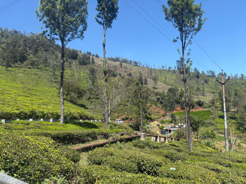  Residential Plot 5 Acre for Sale in Coonoor, Nilgiris