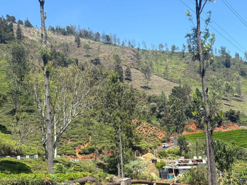  Residential Plot 5 Acre for Sale in Coonoor, Nilgiris