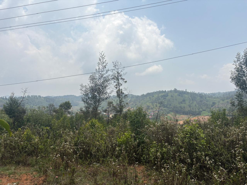  86 Cent Residential Plot for Sale in Ketti, Nilgiris