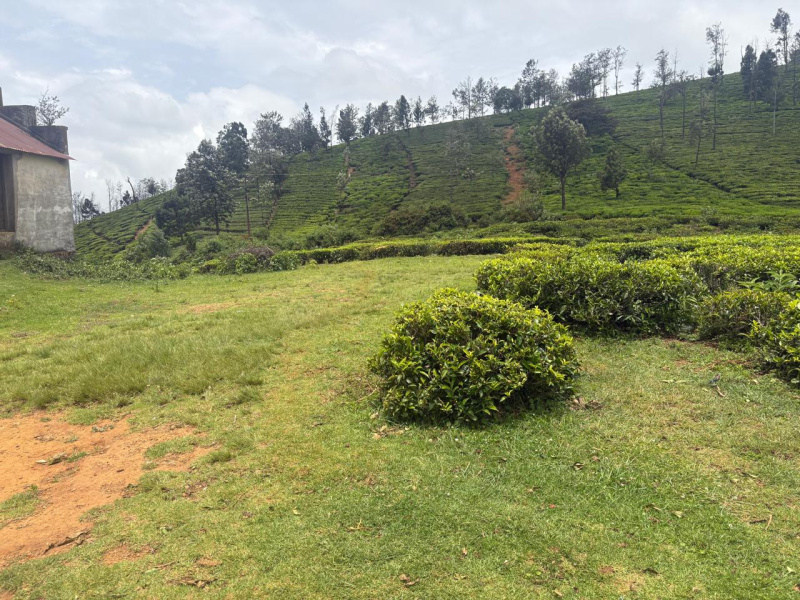  Residential Plot 5 Acre for Sale in Hubbathala, Nilgiris