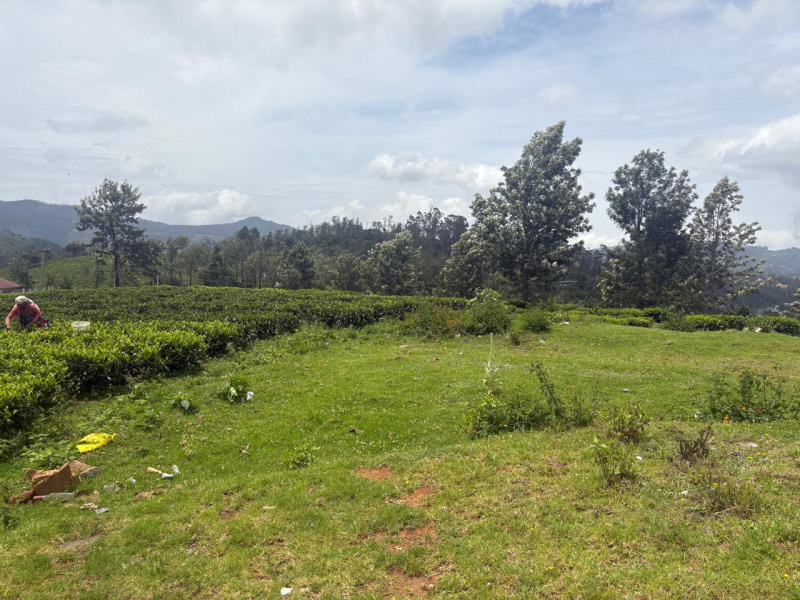  Residential Plot 5 Acre for Sale in Hubbathala, Nilgiris