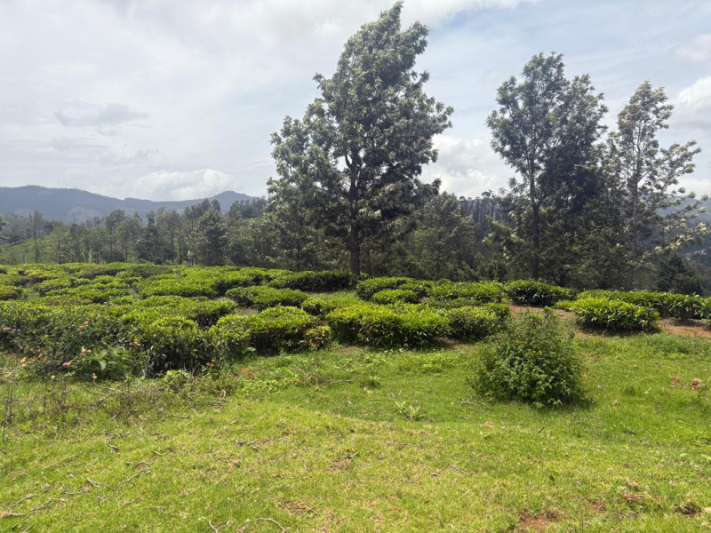  Residential Plot 5 Acre for Sale in Hubbathala, Nilgiris