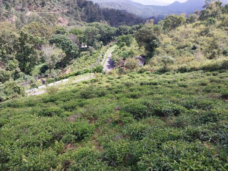  Residential Plot 7 Acre for Sale in Kotagiri, Nilgiris