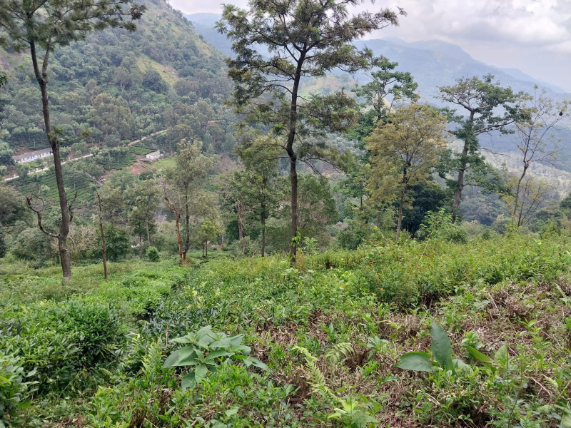 Residential Plot 7 Acre for Sale in Kotagiri, Nilgiris