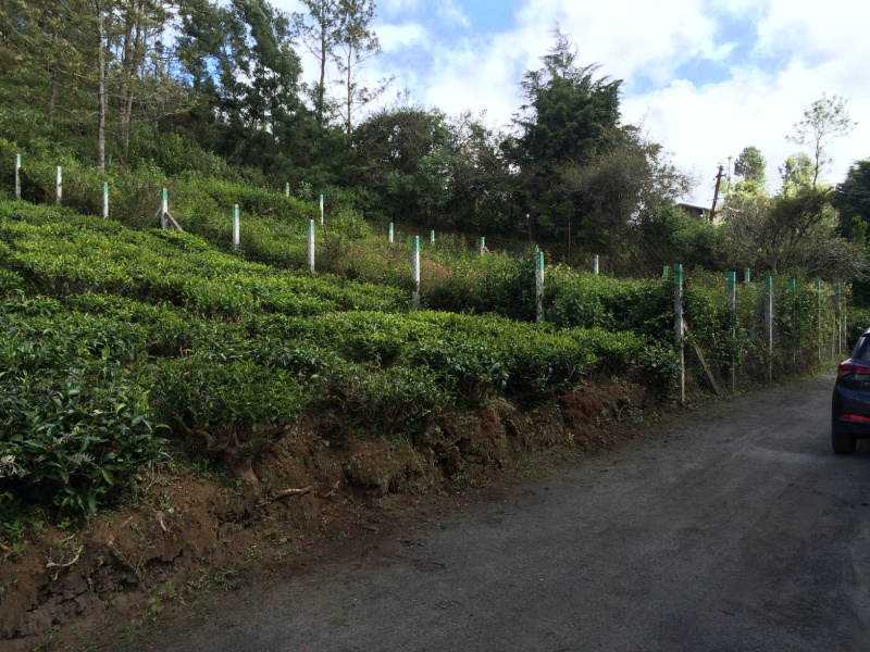  Residential Plot 8 Cent for Sale in Kotagiri, Nilgiris