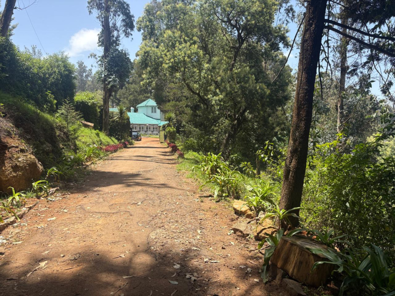  Residential Plot 1 Acre for Sale in Udhagamandalam, Nilgiris