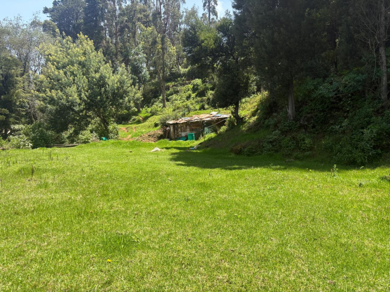  Residential Plot 1 Acre for Sale in Udhagamandalam, Nilgiris