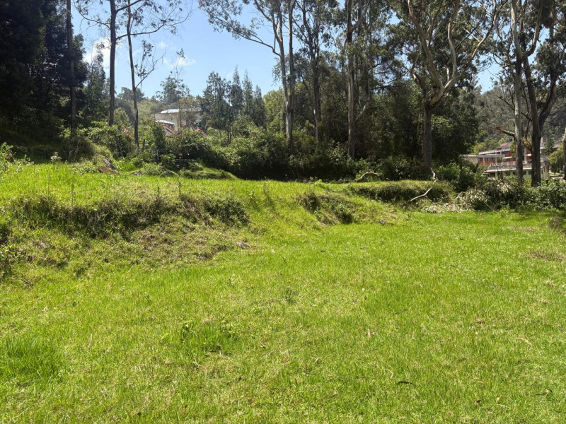 Residential Plot 1 Acre for Sale in Udhagamandalam, Nilgiris