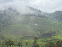  Commercial Land for Sale in Kotagiri, Nilgiris