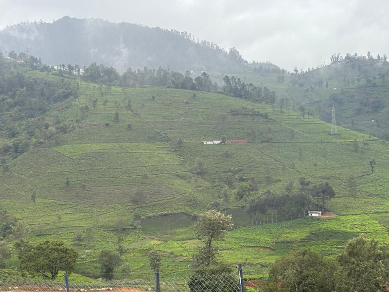  Commercial Land 35 Acre for Sale in Kotagiri, Nilgiris