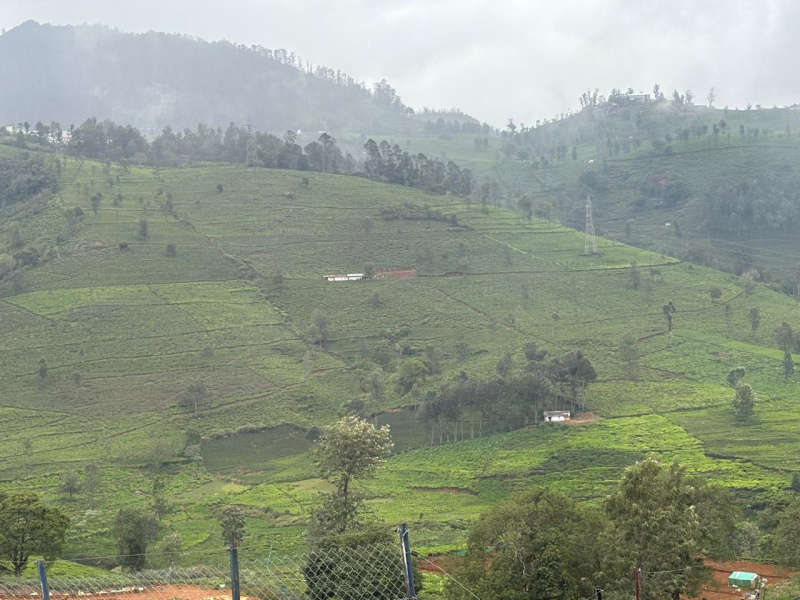  Commercial Land 35 Acre for Sale in Kotagiri, Nilgiris