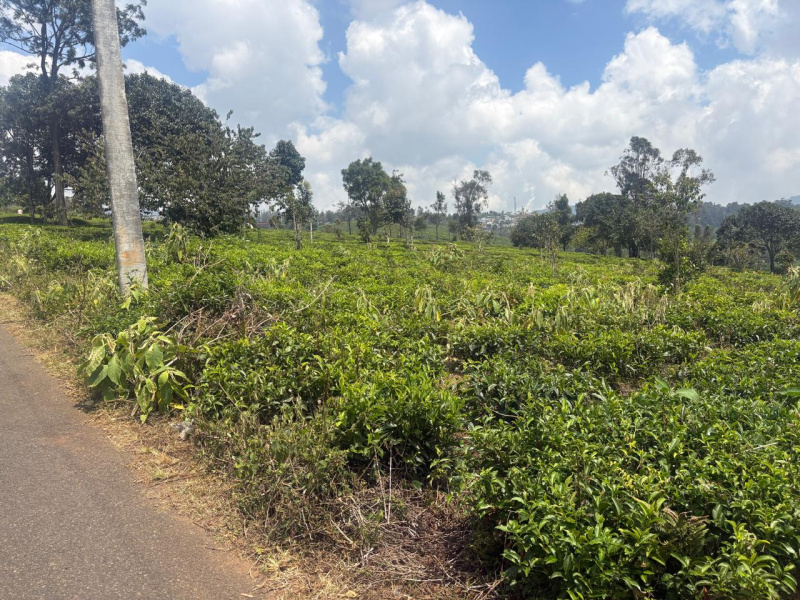  37 Cent Residential Plot for Sale in Coonoor, Nilgiris