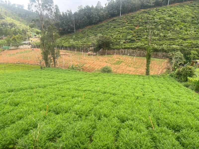  32 Cent Residential Plot for Sale in Coonoor, Nilgiris