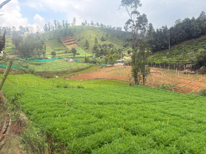  32 Cent Residential Plot for Sale in Coonoor, Nilgiris