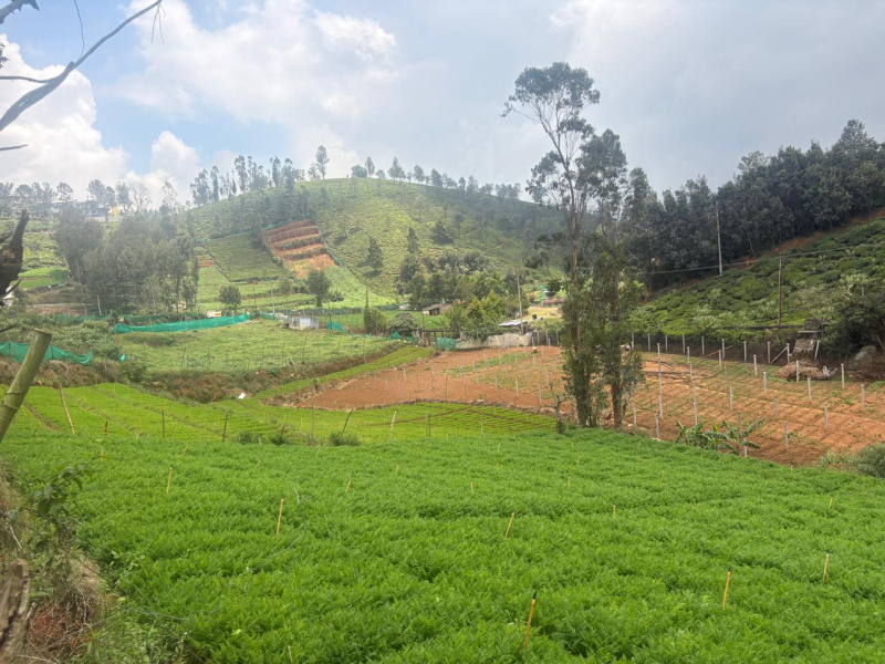  32 Cent Residential Plot for Sale in Coonoor, Nilgiris